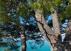 2016 08- D8H6810 : Baska Voda, semester, utomlands